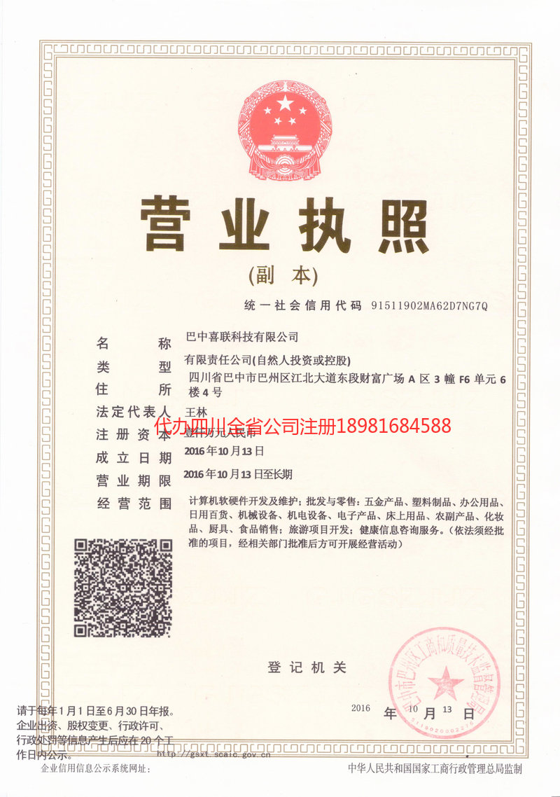 乐山乐山喜联科技有限公司